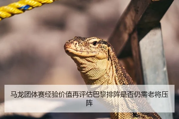 马龙团体赛经验价值再评估巴黎排阵是否仍需老将压阵