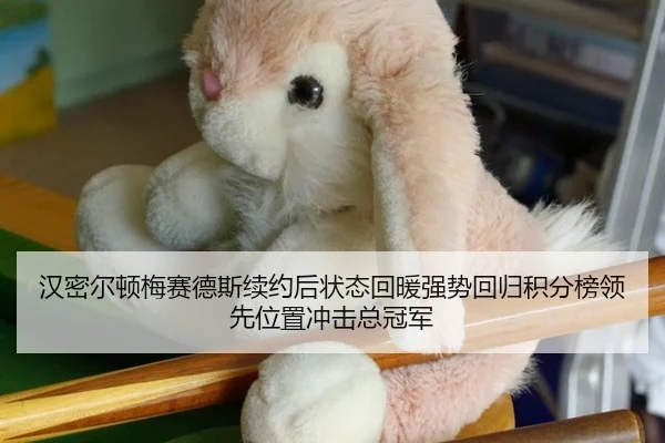 汉密尔顿梅赛德斯续约后状态回暖强势回归积分榜领先位置冲击总冠军